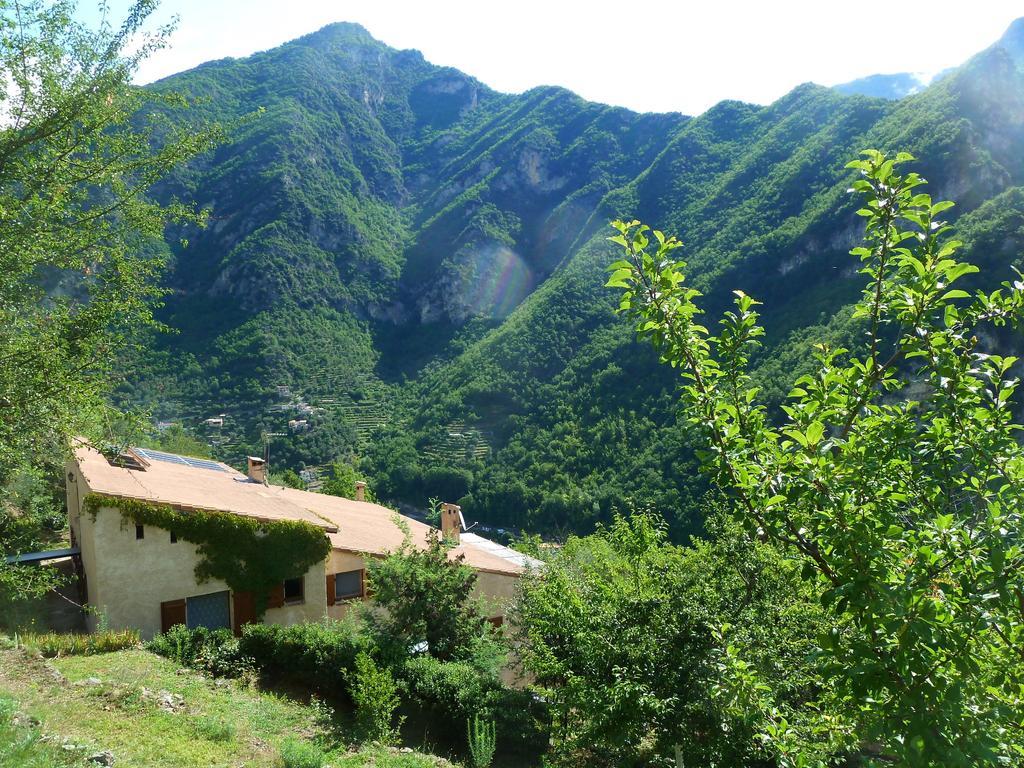 Le Mont D'Olivine Ξενοδοχείο Utelle Εξωτερικό φωτογραφία